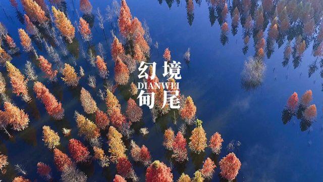 （一）《咏石榴》的全诗。游戏画面